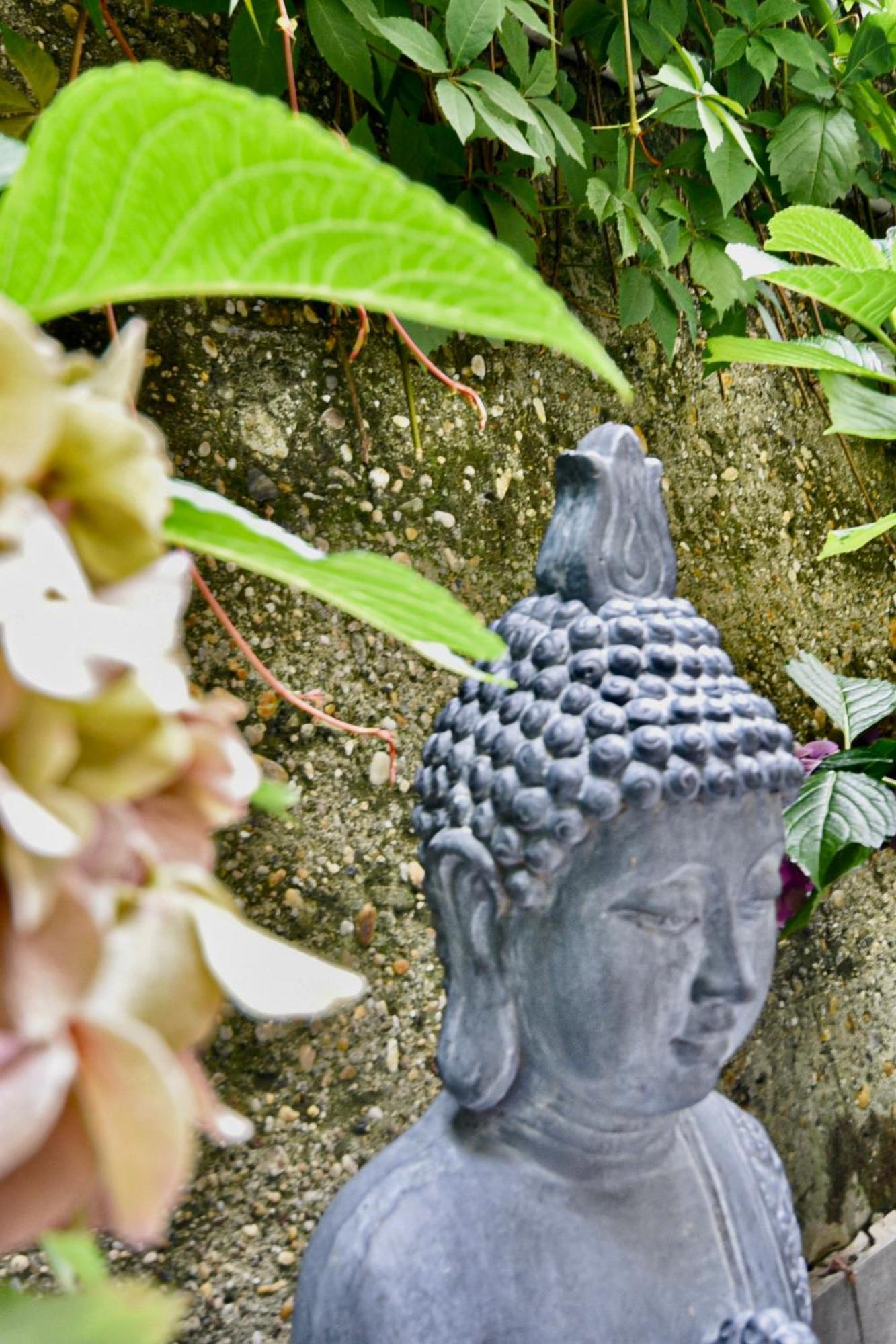 Buda Bliss Garden Budapest Exterior foto